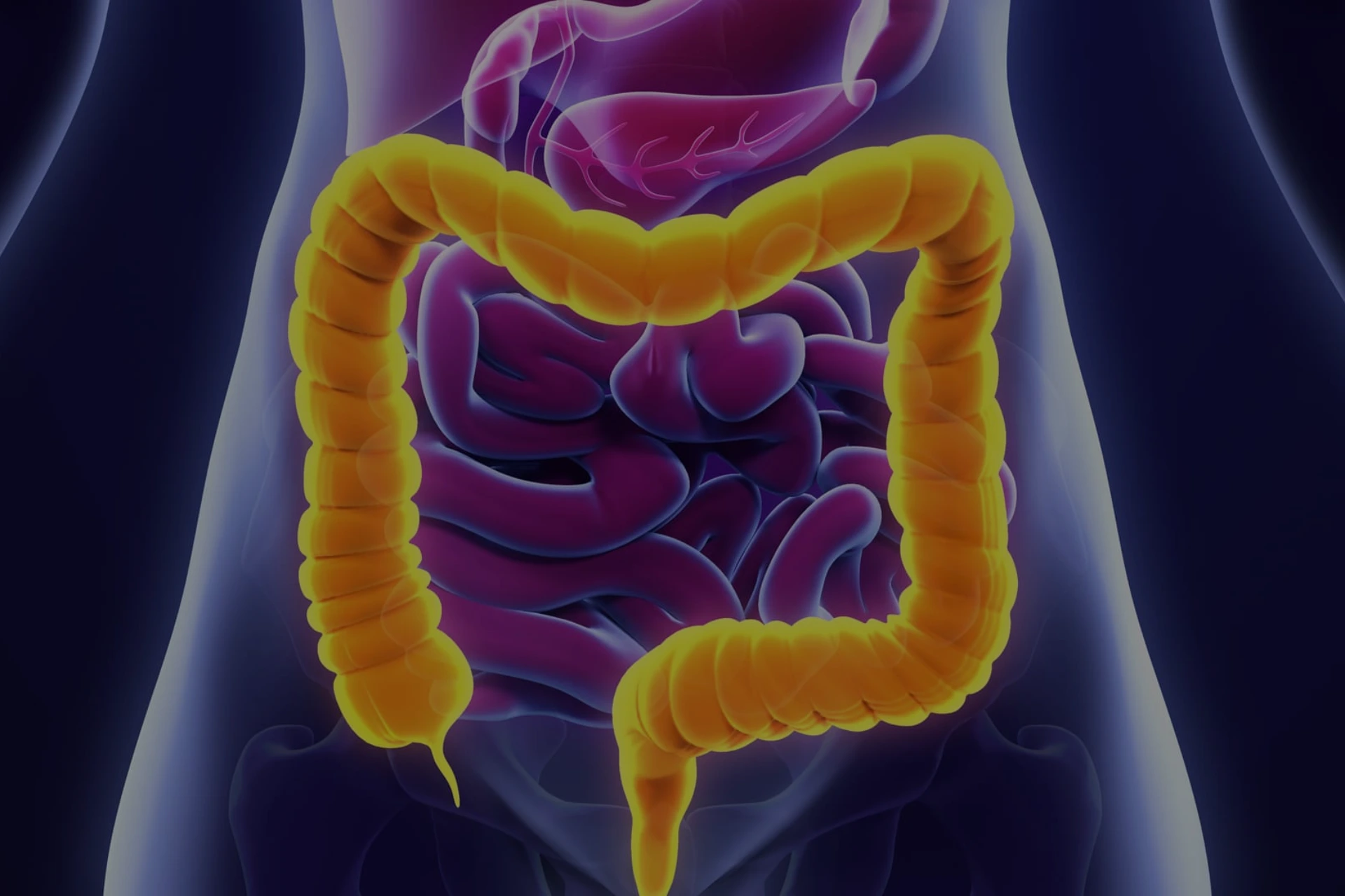 best gastroenterologist in manikonda